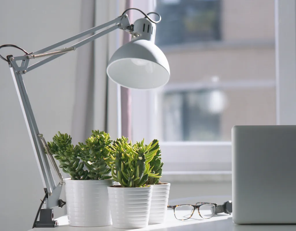 White clip-on desk lamp clamped to a bright desk with laptop and plants small home office
